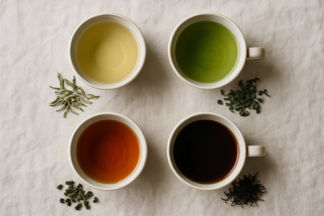 Thé Vert, Noir, Blanc, Oolong : Le Guide Complet