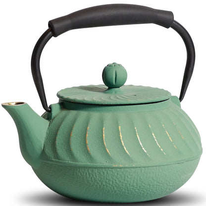 Détail relief spirale théière en fonte japonaise